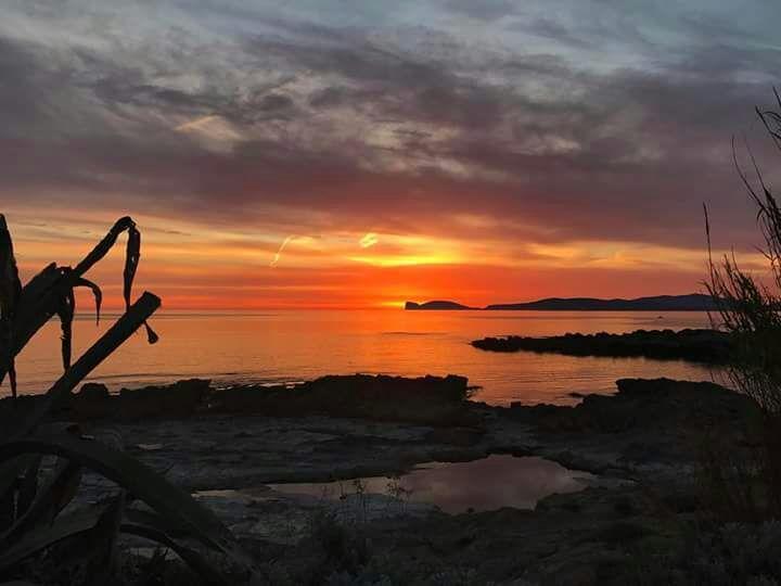 Il Tramonto Balaguer Apartamento Alghero Exterior foto